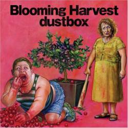 Dustbox : Blooming Harvest Dustbox : Blooming Harvest